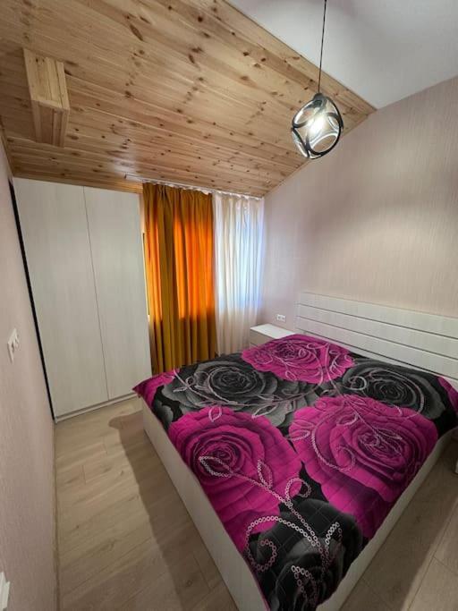Residence Didveli In 바쿠리아니 외부 사진